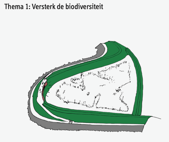 ZvZB Syb van Breda (2)